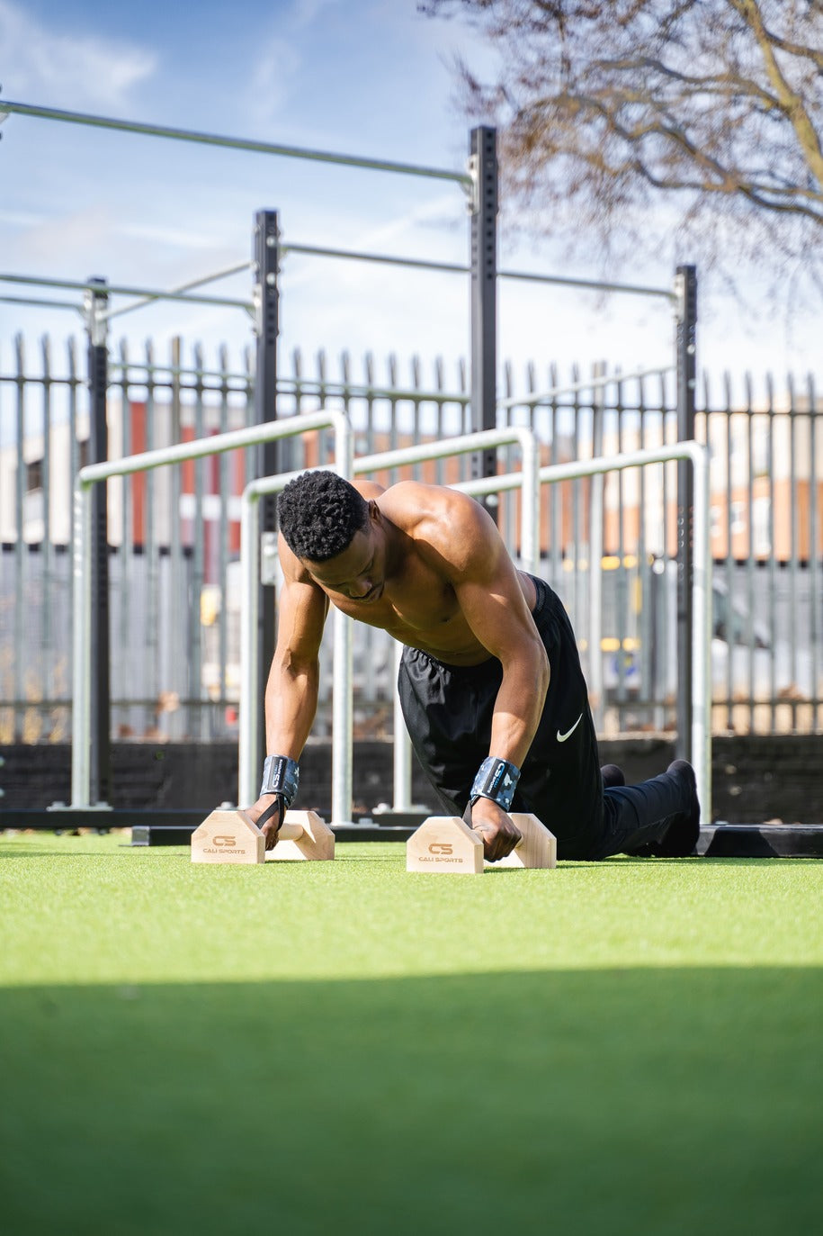 calisthenics wood parallettes